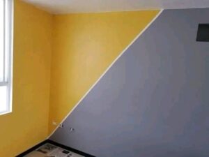 pintor 2